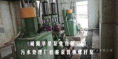 污水處理廠壓濾機專用泵柱塞泵替換螺桿泵